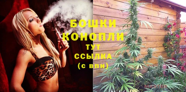 прущие грибы Богородск