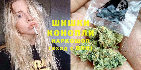первитин Богданович