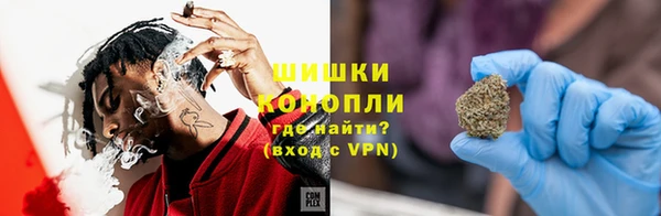 прущие грибы Богородск