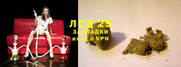 прущие грибы Богородск