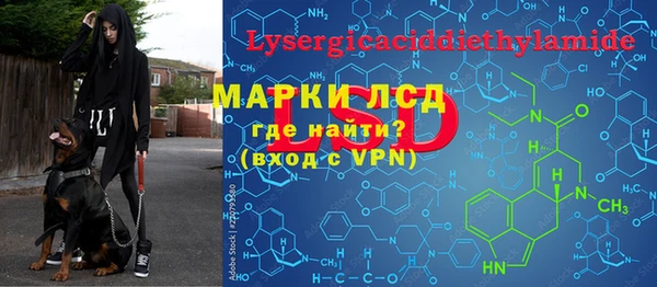 прущие грибы Богородск