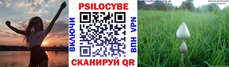 Галлюциногенные грибы GOLDEN TEACHER Коряжма